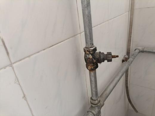 0ac40eadd7cc9b5b9fbeb5e8678da5de