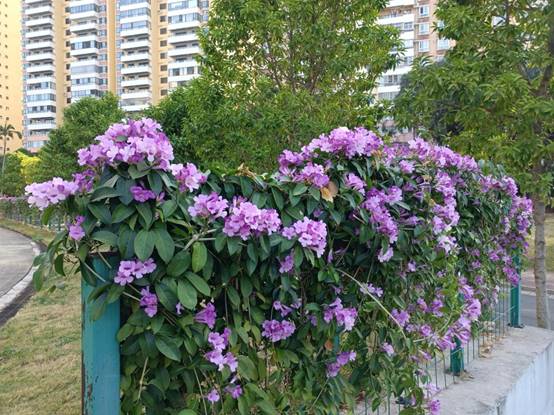 c88f9c17c15eb32d63f3ea553f17305