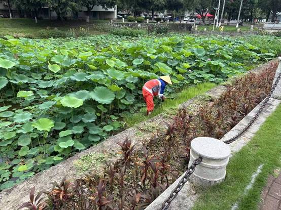 1becab90860492c9217fd450daba353