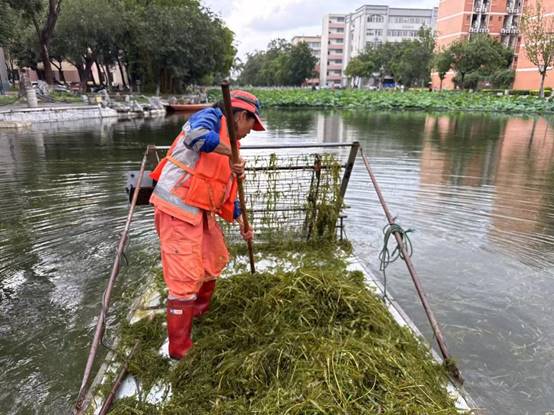 6bd8f566881ee853779fb205776f318