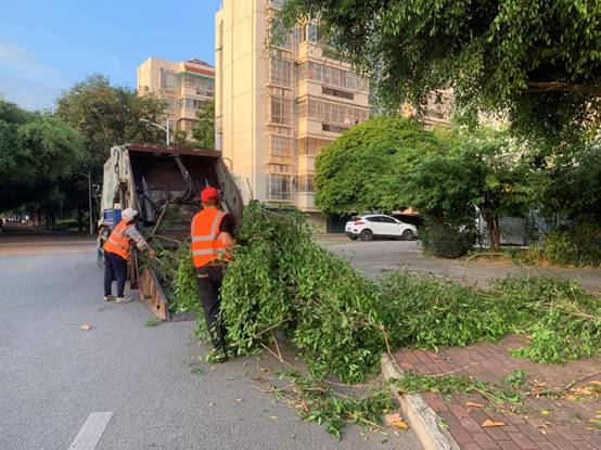 aa622ed90eefc61ea60996f72319e38