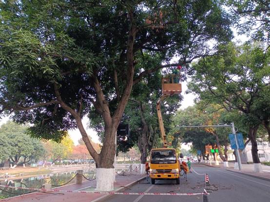 81fa60e4e9fbe7e5e86c9f697d349a8