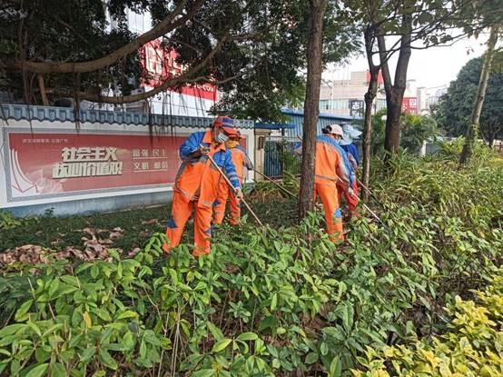 cc353afe57ded5227451491e533ba44