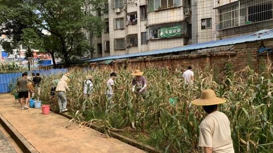 说明: 5d7bc43d79ee3bee0f786e723fc0d7a