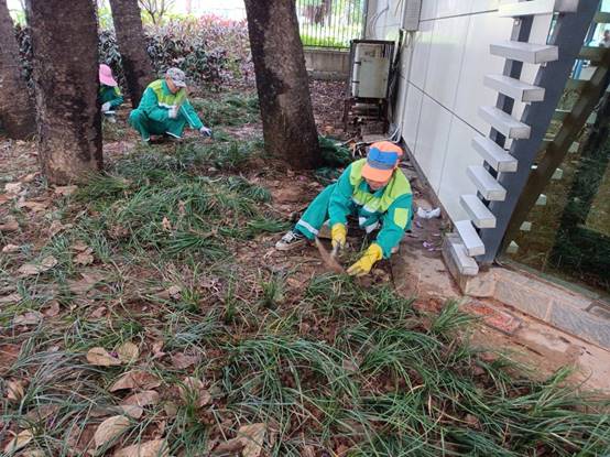 419e1e46195ab010ad127e4badde4d5