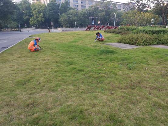 85c0e7af16ebb29cc981c39e1439564