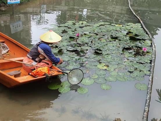 d4deb2295fc81a0d11bcf2a1a730841