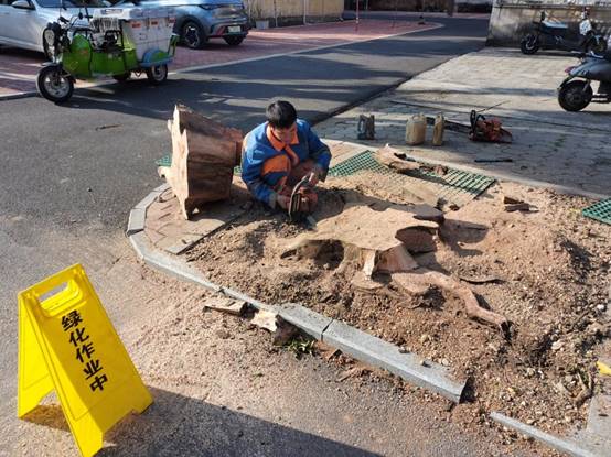 31d995c3fc50014fcf20639842c441e