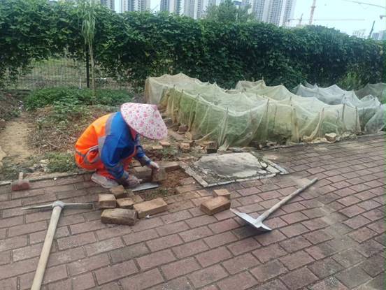 83ec0c5c6c974789073bfeab7a70242