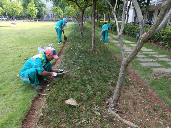 a0ae33053d06fe76c8baa0b3b8ea15e