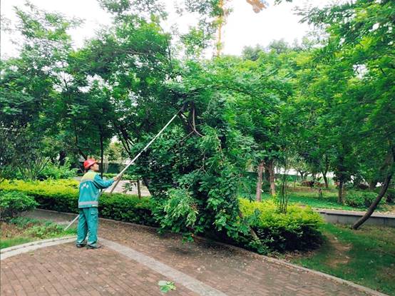 695113cf77c274c113c39987d94d3a9