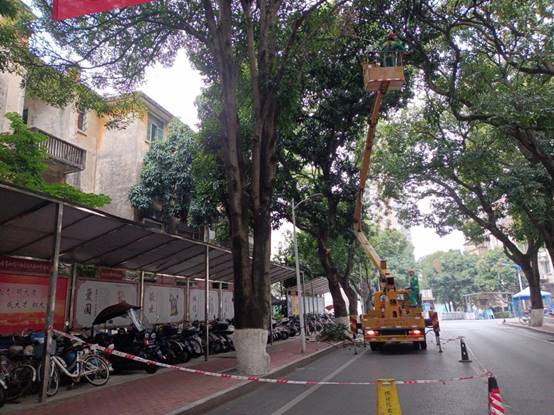 c9a55c88c535e528a941078ac5ad66b