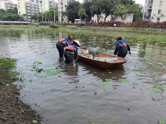 ee1bf4c1b2c2364f4c20c17929685df