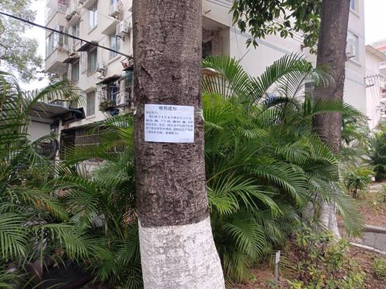 9fcbe1c89c0adccebc8bfa9312eca0c