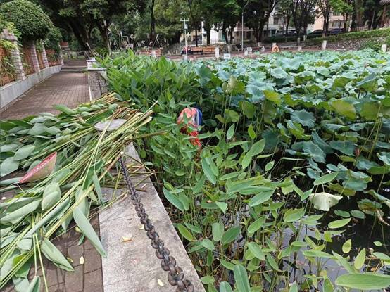 52c9dd7404b71d280f6f829e946175a