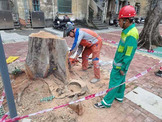 cae1e21fa090818bf6aefc87704d50a