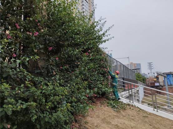 cac4bb30642dd87f421ab3a8940e733