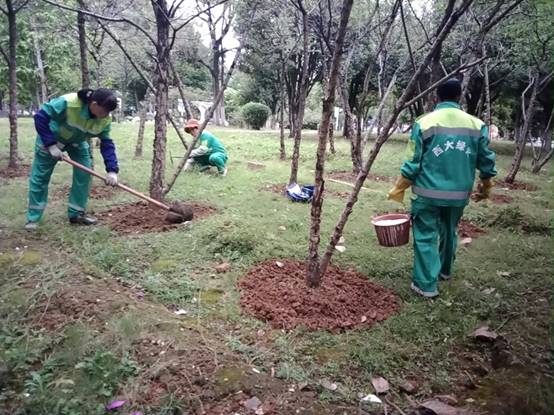 101d70d6b53923047e651756c32f16e