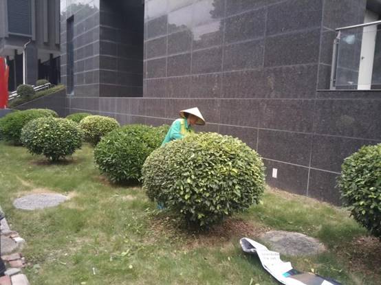 c9b63605d9070653a32bc6971e8b440