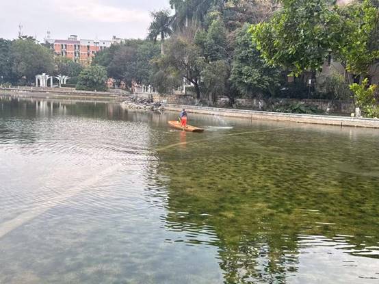 d165e34982517255ca20a3f0ddc7882