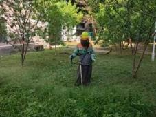 55a06de383996c6072c27c43dddbab8