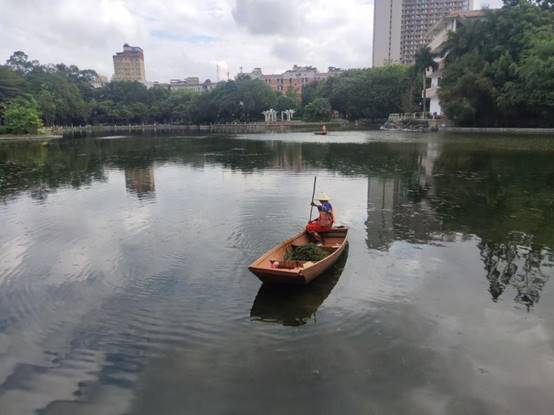 3992bd988471b9faa15085ea81ba90c