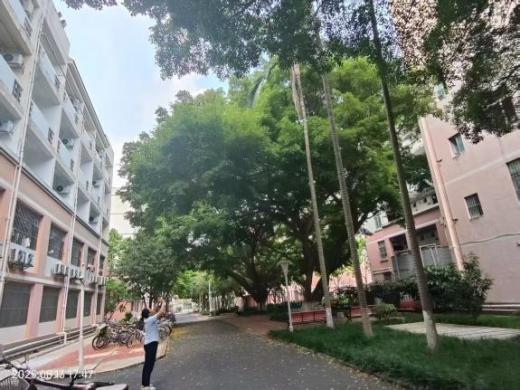 42a46d38e62e045d53e0db25638292b