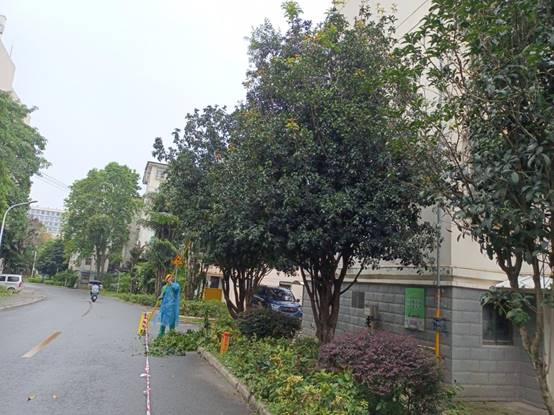 feb3384e05a4e63e7d1461ed9d6f173