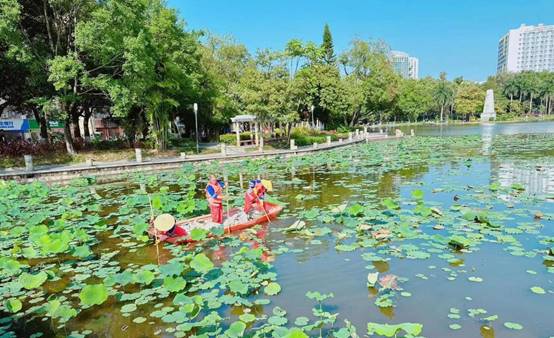 水中的倒影中度可信度描述已自动生成