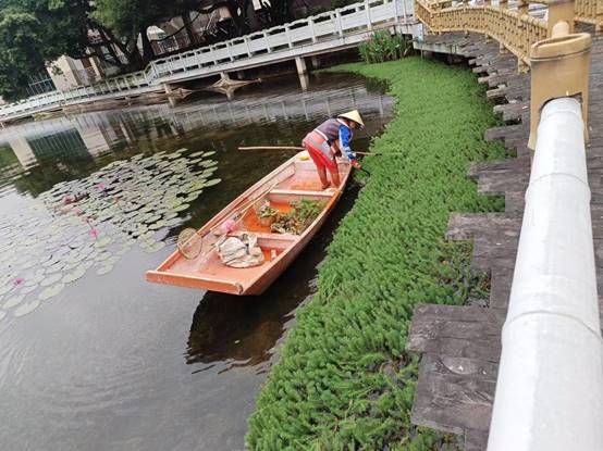 47f181b9eb67934afa6565437696839