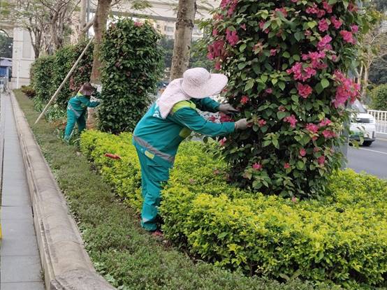 315e77c3c64e551322acc3cb6286c87