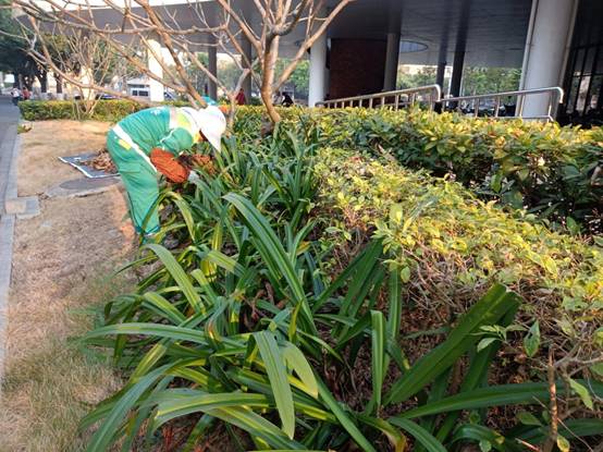 256cee5c4013ddeeeabd4bf534300a2