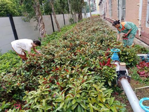 857318a429c59f63bdadefb3c8d7b83