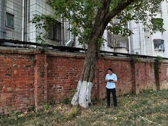 说明: 0ff01395156af44a8dbcd0d92a8a2c8