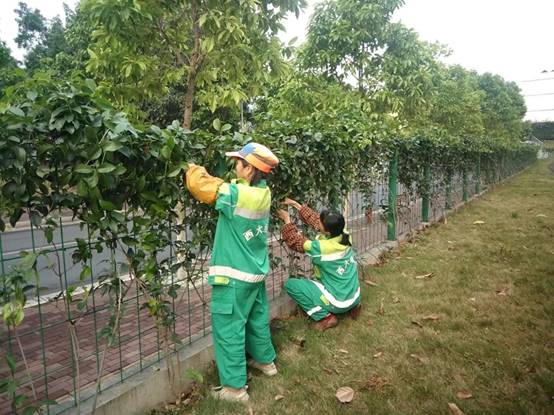 44dc8fca6a095ea924003f9cf0fc7cf