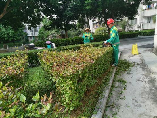 858856fe46fb9dc59deaceb710c3337