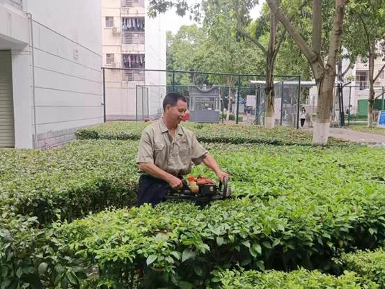 说明: d663fa172be6ec2612fe15de35641a4