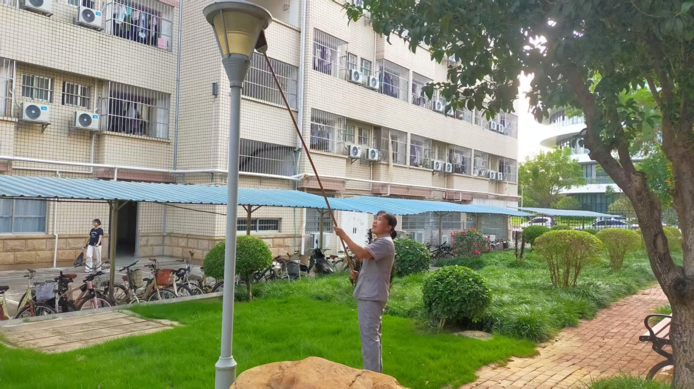 6ec202fcfd54ea2e8349928d4e057c82