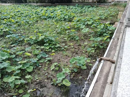 425a675785f922e58f82ac1474b12b6