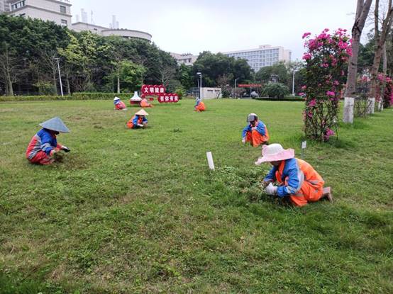 f662bf9277848a5483a72a1bad13645