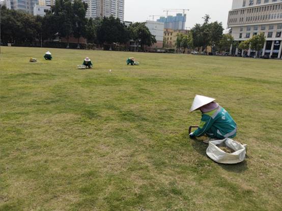 990943cc7c07902de11575c5a1dd67c