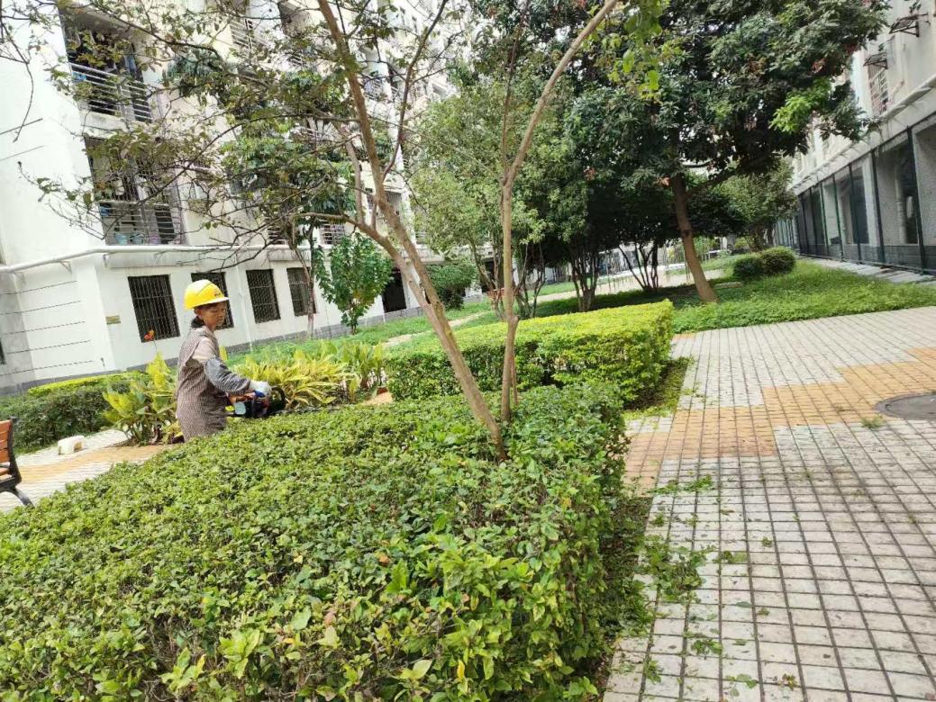 3759e52cf218b75fd6b2a0cd5335397c