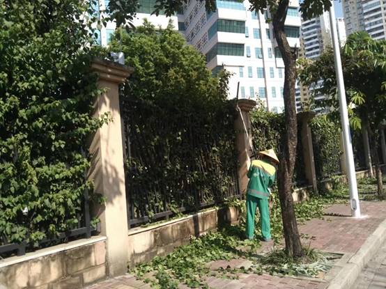 bf75b0d7b421c2ada32d8d27b21fe5c