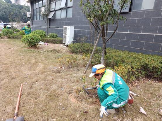 0c40288d5610e3e45a5cdd5f058b673