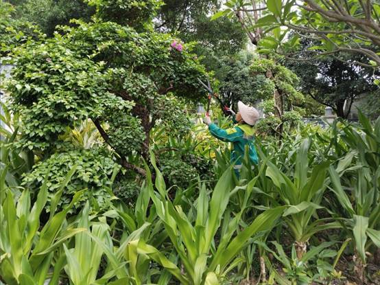 40bafe3f044933d0069db7fa888c0f2