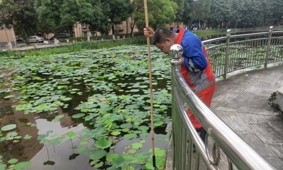 e7674aac64592d99c6905f742464ab01_