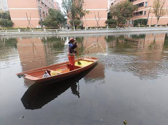 876e5795478c6d120c1382542a8e87e