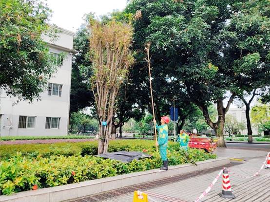 397400ad4e2c6ad4bf3056790f23a69