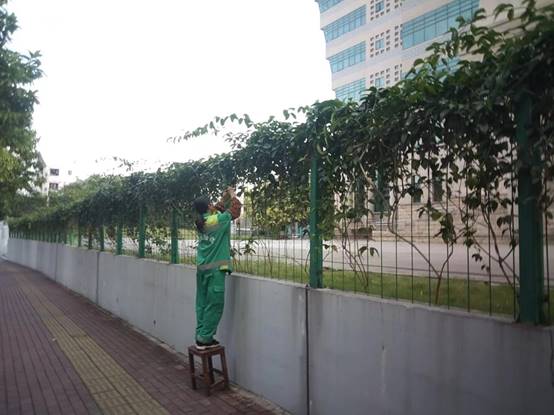 c610c23c02009ef12e4b502b0a752a0