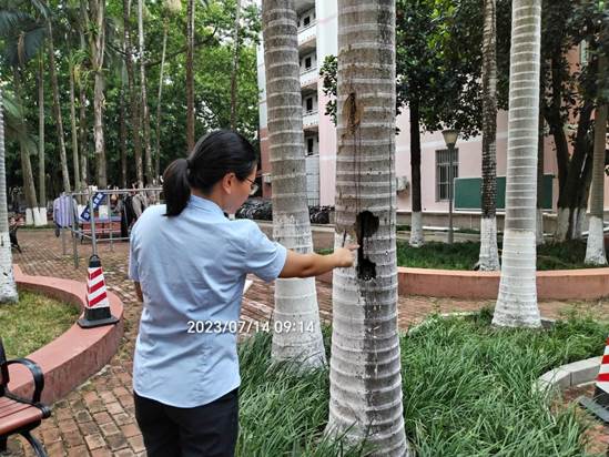 说明: 797778dbe54e5ca2cb4fd7740d8f953